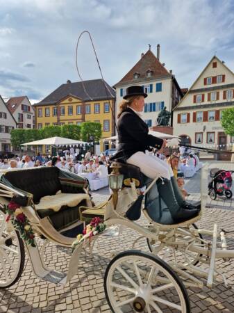 Kutsche in weiß von Schimmeln gezogen