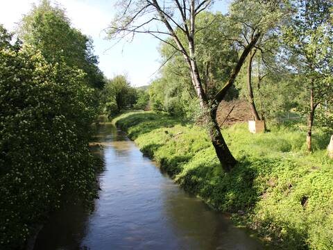 Der Fluss namens Würm samt Grünflächen im Uferbereich.