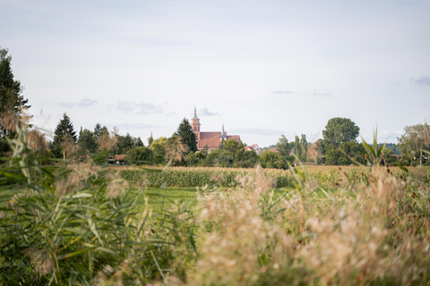 Der Blick auf die St. Peter und Paul aus der Richtung von Schafhausen