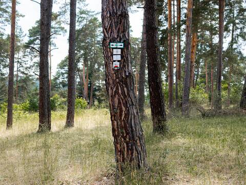 Wanderhinweise an einem Baum.